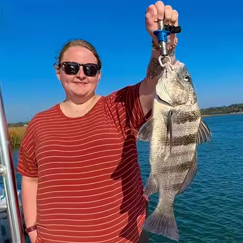 Black Drum from the Shallotte River in December 2025