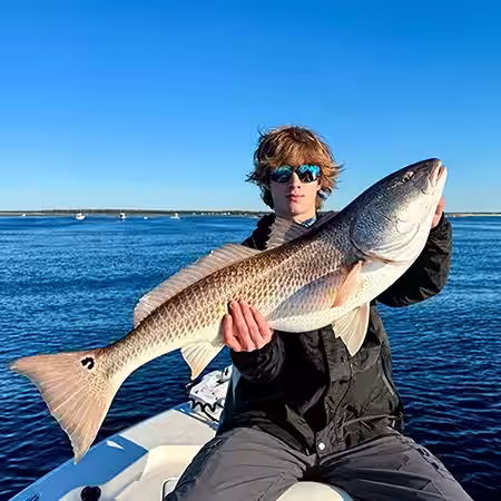Bull redfish from little river inlet