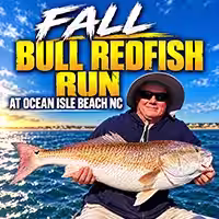 The Fall Bull Redfish Run in Ocean Isle Beach