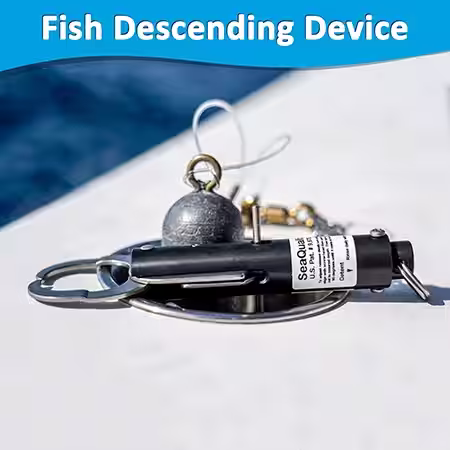Fish descending device used to release reef fish safely