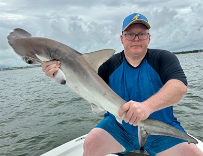 Hammerhead shark near the surface during fishing trip