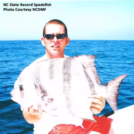 NC State Record Atlantic Spadefish