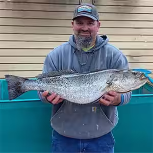 NC State Record Speckled Trout