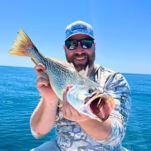 Weakfish (gray trout) identification photo