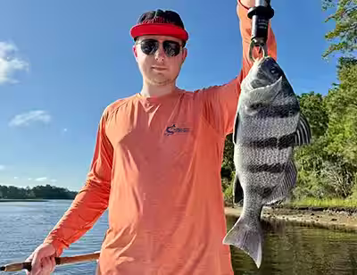 Black Drum caught in OIB by this angler