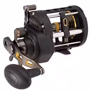 Penn Fathom II saltwater reel for nearshore fishing