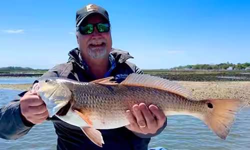 Two redfish caught on an inshore fishing charter with fishing scent on the lures