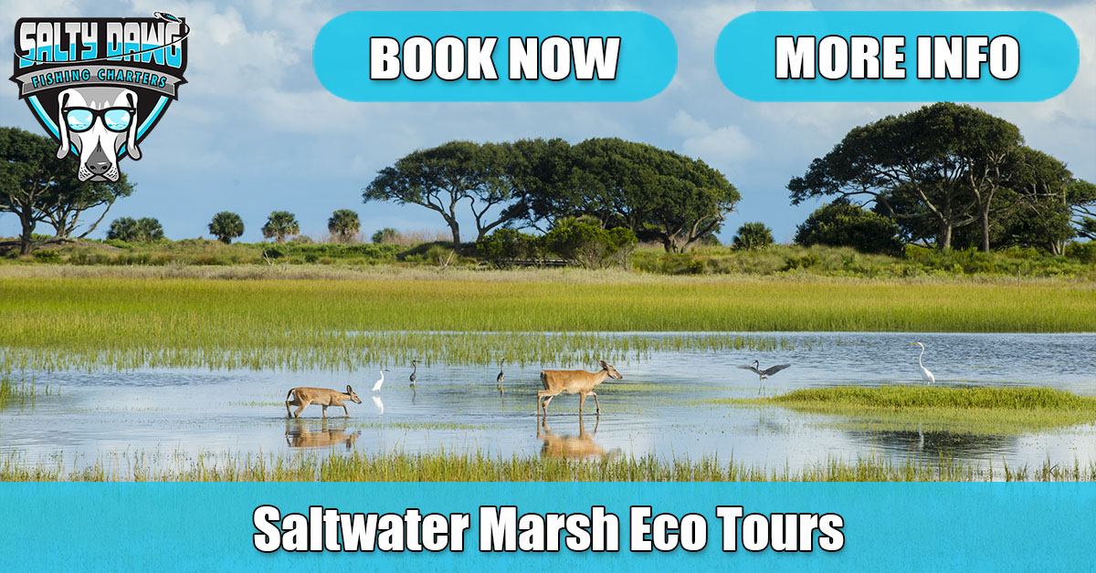 Ocean Isle Beach Fishing Charter