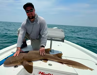 Nurse shark caught and released on an Ocean Isle Beach charter