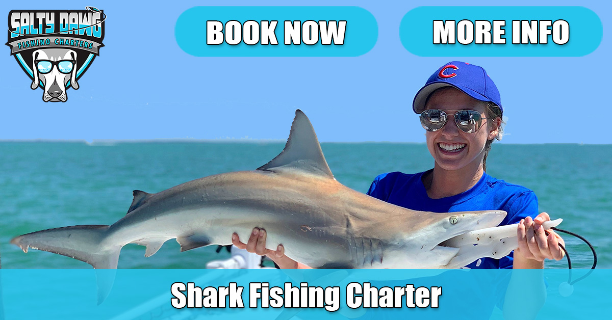 Ocean Isle Beach Fishing Charter