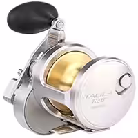 Best Conventional Reels for Saltwater Fishing