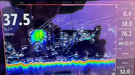 Simrad Sonar Screen showing baitfish on Jolly Mon Reef
