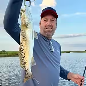 Speckled Trout (spotted sea trout) identification photo