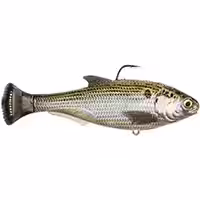 How to Fish a Swimbait for Inshore Fishing