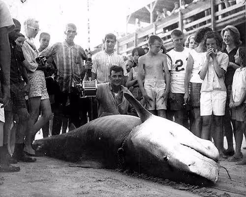 World record tiger shark caught at Cherry Grove Pier in 1964