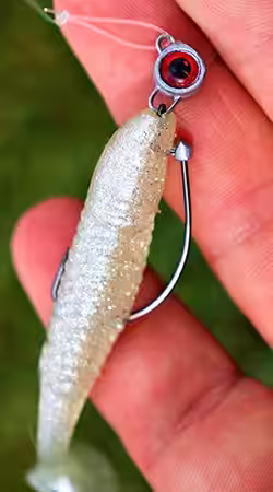 Z-man minnowz swimbait rigged on a texas eye jighead